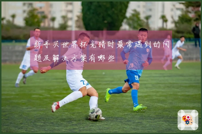 新手买世界杯竞猜时最常遇到的问题及解决方案有哪些